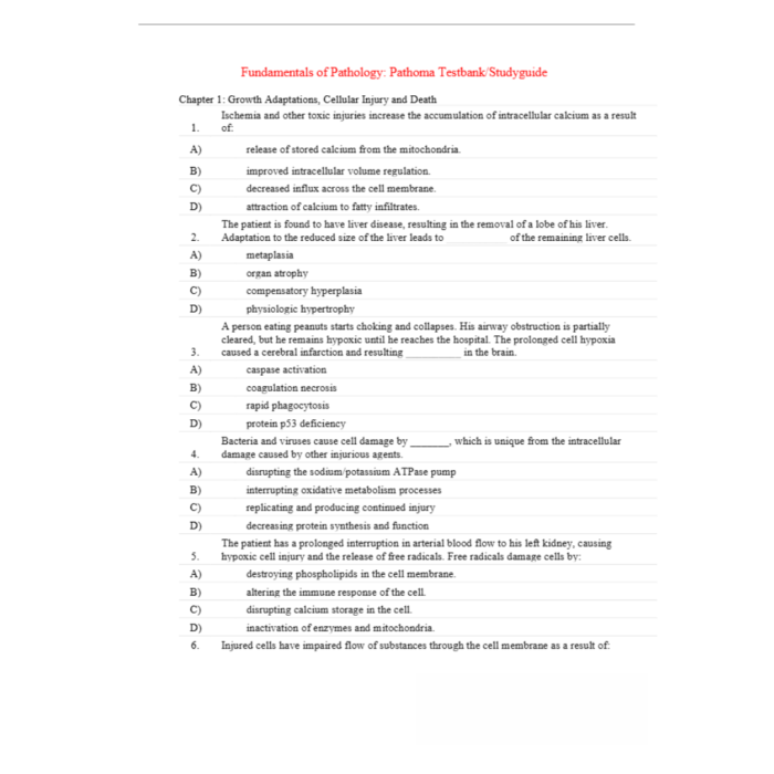 Fundamentals of Pathology Pathoma 8th edition By Sattar Husain 4