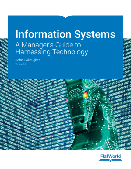 Information Systems Gallaugher test bank