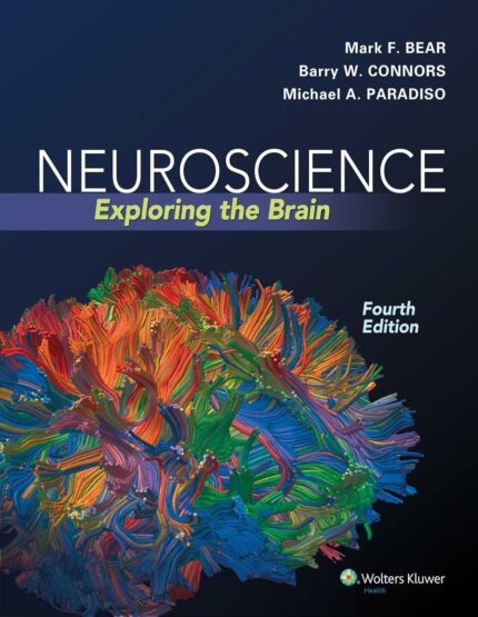 test bank and practice questions for Neuroscience Exploring the Brain by Bear4e