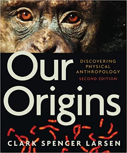 test bank for Our Origins Discovering Physical Anthropology by larsen